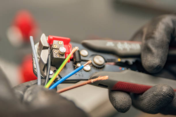 Best Ceiling Fan Installation Electrician  in Edgerton, MN