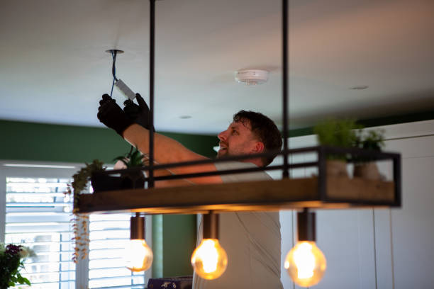 Best Electrician for Home Renovation  in Edgerton, MN